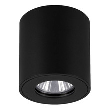 Eglo Torrecola loftlampe rund i sort - udendørs